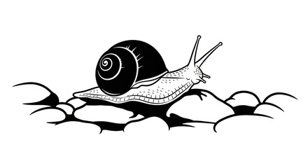 black and white snail illustration. © Slowme