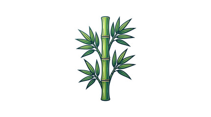Fototapeta premium Green bamboo stalk with leaves, isolated on transparent background, natural plant illustration