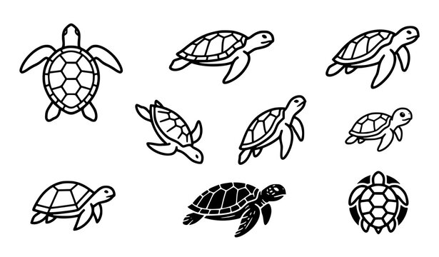 Cute sea turtle collection vector illustration set hand drawn outline ocean animal coloring book page concept