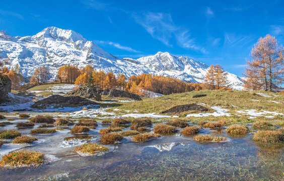 beautiful autumnal scenic landscape in alpine valley with frozen pond and  golden larch trees in forest with snowy peak mountain background in tarentaise, savoie france