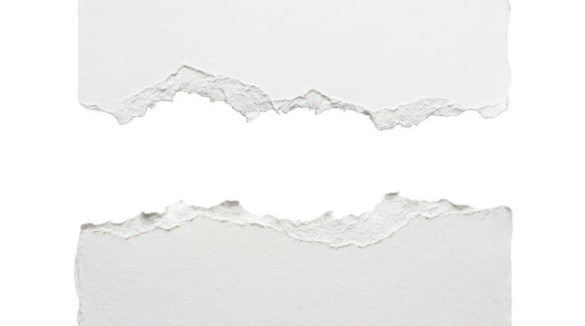 White ripped paper sheet with torn edges isolated on transparent background