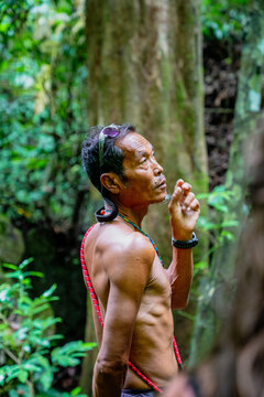 Indigenous man exploring jungle observing tropical environment