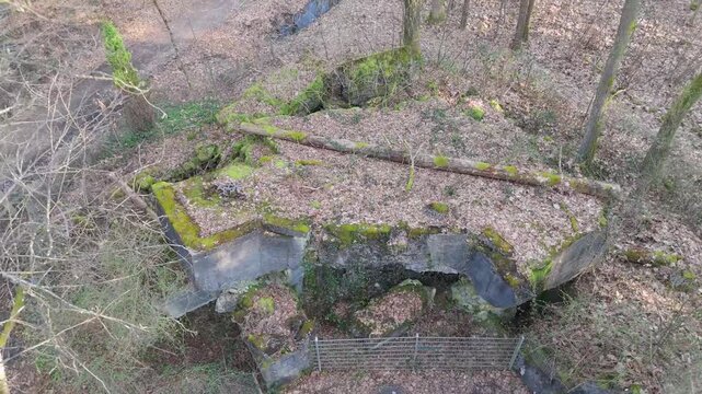 Aerial boom up shot of a historical Siegfried Line (Westwall) bunker ruin hidden in a tranquil Rhineland-Palatinate forest, Germany, covered in moss and dead leaves.