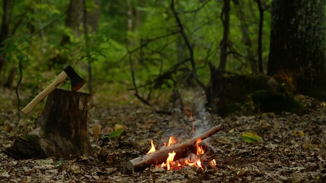 Small Campfire Burning Near Wood Stump and Axe in Forest Loop. Seamless loop ASMR video of a small campfire burning near a wood stump with an axe in the forest. Cozy nature fire pit background.