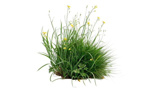 Small tuft clump of green grass roots isolated on transparent background
