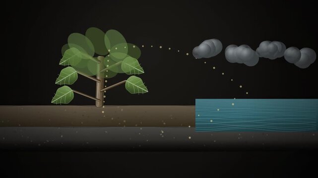 Abstract animated carbon cycle looping drawn as cyan and teal lines and shapes on a deep dark background. Seamless looping 4K motion graphics video with free space for text, ideal for sustainability r