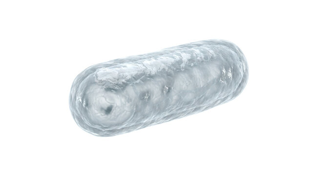 Cylindrical bacterial cell microscopic organism structure isolated for biology research studies.
