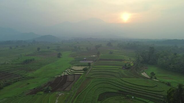 the beauty of the foggy morning panorama with sunrise and rice fields in Bengkulu, indonesia, asia