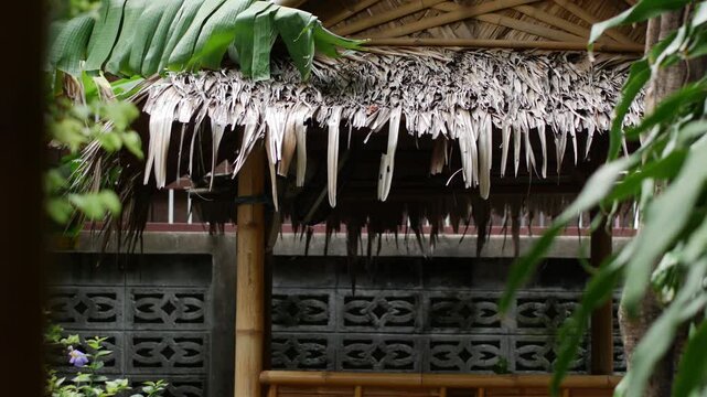 Bamboo Hut with Thatched Palm Roof Surrounded by Tropical Foliage