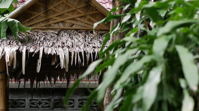 Bamboo Hut with Thatched Palm Roof Surrounded by Tropical Foliage