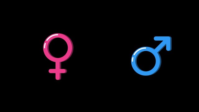 Male and female gender symbol icon animation with transparent background and alpha channel for equality projects