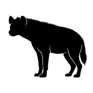 Black silhouette of a spotted hyena standing in profile isolated on a white background, for wildlife and, nature themed work