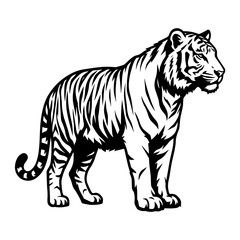 Fototapeta premium Black silhouette of a tiger standing in profile, isolated on a white background, of a wild predatory feline for nature projects