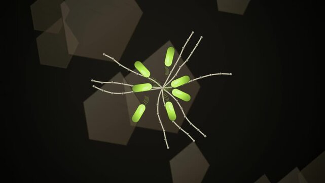 Abstract animated soil microbiome zooming in drawn as amber and orange lines and shapes on a deep dark background. Seamless looping 4K motion graphics video with free space for text, ideal for science