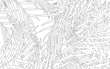 Fototapeta premium ラインアート。椰子の葉の背景、壁紙、南国の背景。