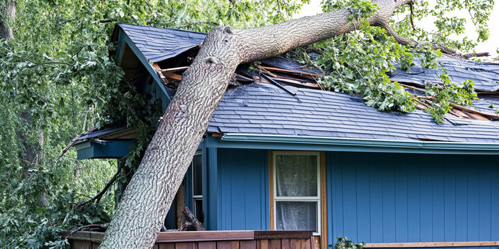 Large fallen tree rests on blue house roof Generative AI
