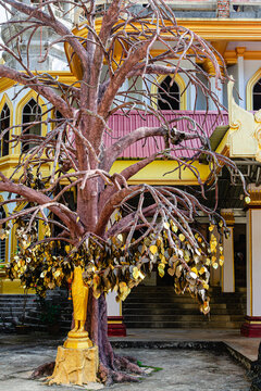 Buddhist temple with a large sacred tree displaying golden leaves and statue