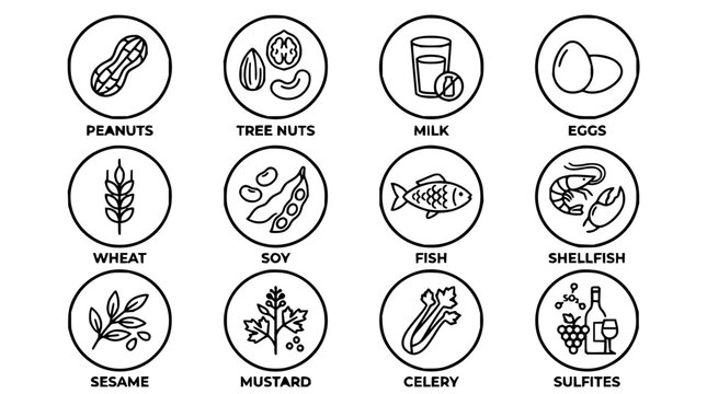 Allergens set with circular icons featuring peanuts, tree nuts, milk, eggs with wheat, soy and fish