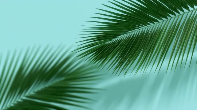 Palm Leaf Silhouette Against Turquoise Background With Soft Shadow, Copy Space, Tropical Plant