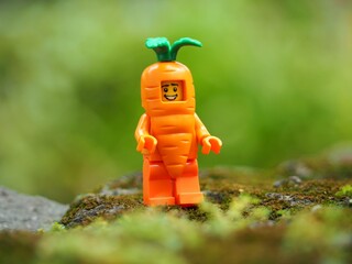 Naklejka premium Indonesia - May 23, 2025 : Mini toy of action figure at outdoor with blurred background. Miniature photography concept design. Minifigure of carrot guy character at farmland. Agriculture theme.