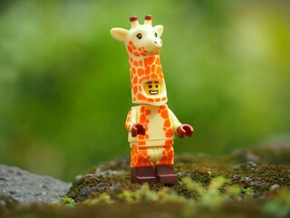 Naklejka premium Indonesia - May 7, 2025 : Mini toy of action figure at outdoor with blurred background. Miniature photography concept design. Minifigure of giraffe character at grassland.