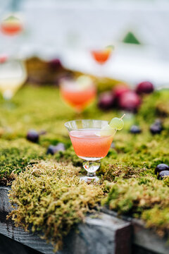 Whimsical pink cocktail on a mossy display