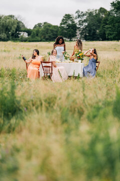 Diverse friends enjoying a fancy picnic party in a field
