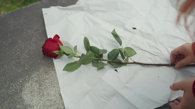 Close up of person wearing red knitting wrapping paper around stems and leaves then carefully rolling it into cone shape on gray surface. Red rose with green foliage is placed next