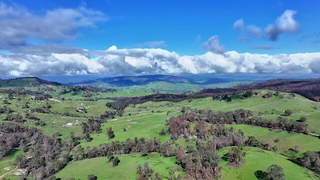 Cinematic aerial footage of Caveat  Victoria Australia