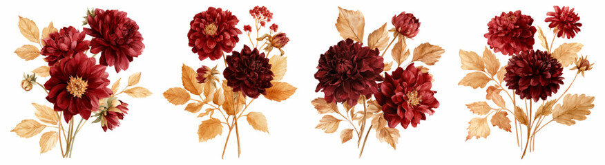 Naklejka premium Autumnal dahlia flower bouquets featuring dark red and burgundy blooms with warm golden fall foliage, creating elegant watercolor botanical illustrations on a white background