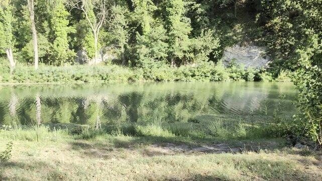 Inquadratura frontale di un fiume calmo e limpido che riflette perfettamente gli alberi del bosco circostante, creando un'atmosfera simmetrica, silenziosa e rigenerante