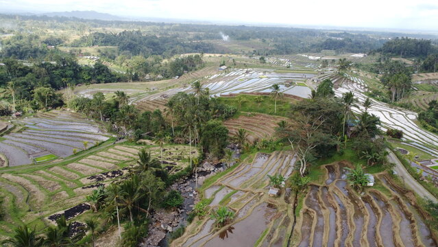 Panoramic aerial view of Jatiluwih green rice terraces UNESCO World Heritage site in Bali, Indonesia