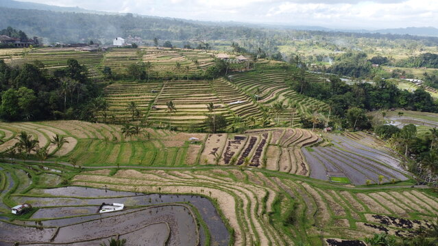 Panoramic aerial view of Jatiluwih green rice terraces UNESCO World Heritage site in Bali, Indonesia