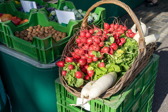 Basket of Fresh Organic Radishes and Daikon Radishes at a City Organic Market &ndash; Healthy Local Food