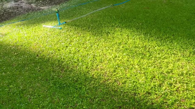 Green grass with water drops sprinkler