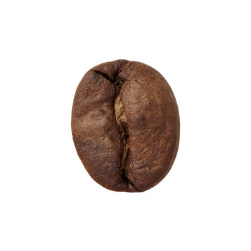 Single Roasted Coffee Bean Close Up Isolated on White