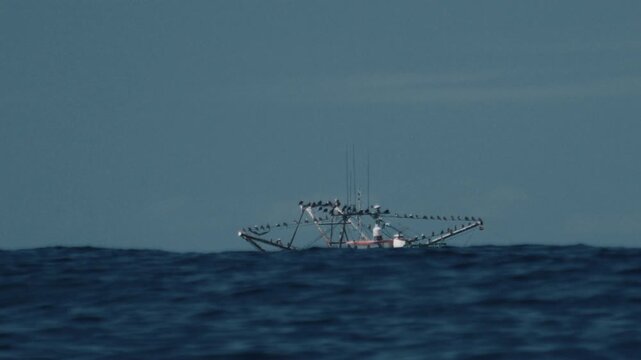 Fishing boat moves in the Atlantic Ocean near the Brazilian shore