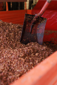 Close-up of grape pomace and grape skins left after pressing and juice extraction during the winemaking process, with a worn shovel embedded in the grape residue inside a winery.