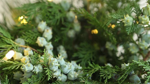 Christmas background with lights and green tree