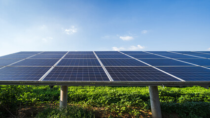 A solar panel array is installed on supports above lush green vegetation, under a clear blue sky, for renewable energy generation. © tai