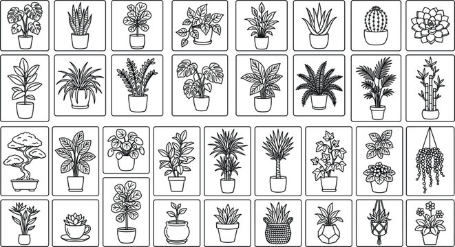 Houseplants and indoor botany line vector icon set featuring monstera cactus succulent fiddle leaf fig snake plant hanging planter symbolsHouseplants and indoor 