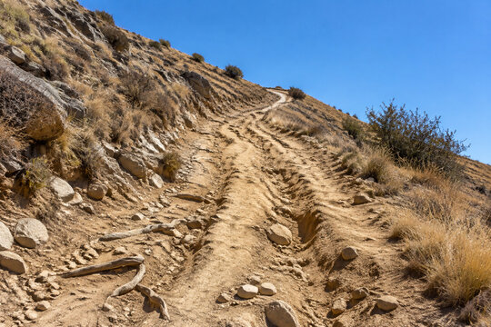 Steep unpaved trail on dry rocky hillside with ruts and exposed roots, arduous hiking path concept