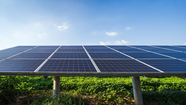 A solar panel array is installed on supports above lush green vegetation, under a clear blue sky, for renewable energy generation.