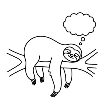 Sloth hanging on a branch with a thought bubble