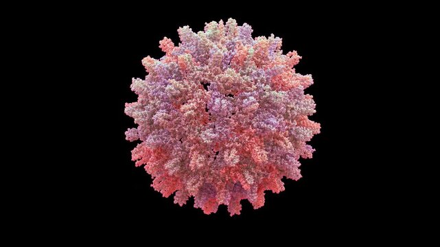 3D structure human hepatitis B virus HBV core particle hbcag capsid, t=4 and t=3 icosahedral shell four-helix bundle spikes, replication-defective vlp pathogenic virus, primarily for vaccine platform.