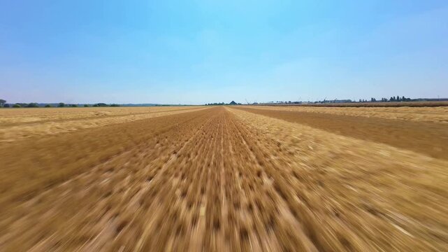 FPV drone flight sweeping low over recently harvested golden crop fields with straw bales in summer, England, UK