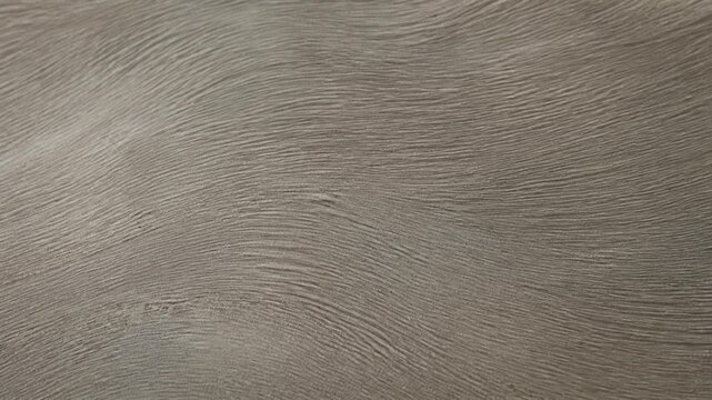 Subtle gray surface texture with delicate organic lines and natural visual detail