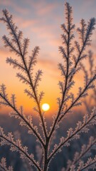 Obraz premium Frosty branches at sunrise mobile wallpaper