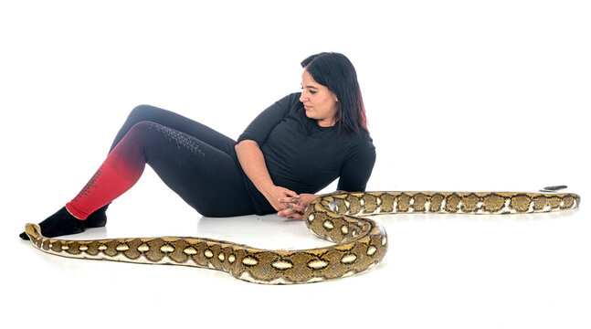 Reticulated python in studio