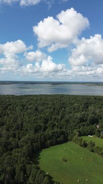 View of forrest and sea in insta format
